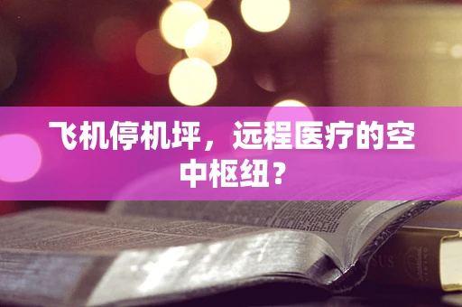 飞机停机坪，远程医疗的空中枢纽？