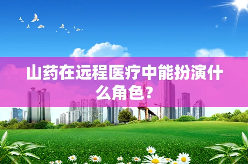 山药在远程医疗中能扮演什么角色？