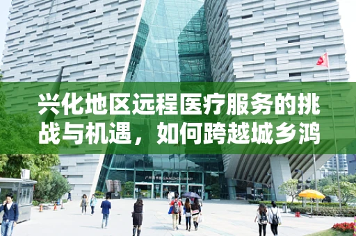兴化地区远程医疗服务的挑战与机遇，如何跨越城乡鸿沟？