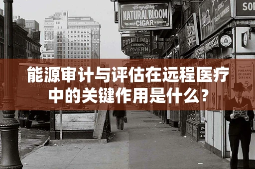 能源审计与评估在远程医疗中的关键作用是什么？