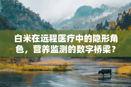 白米在远程医疗中的隐形角色，营养监测的数字桥梁？