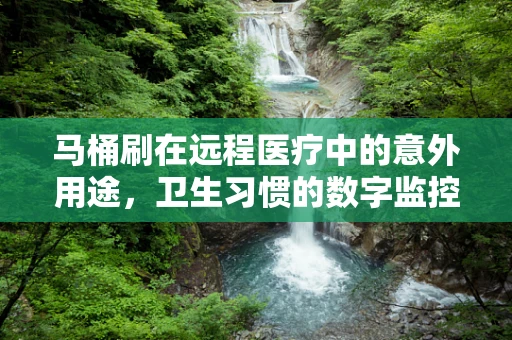 马桶刷在远程医疗中的意外用途，卫生习惯的数字监控新视角？