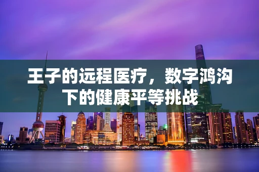 王子的远程医疗，数字鸿沟下的健康平等挑战