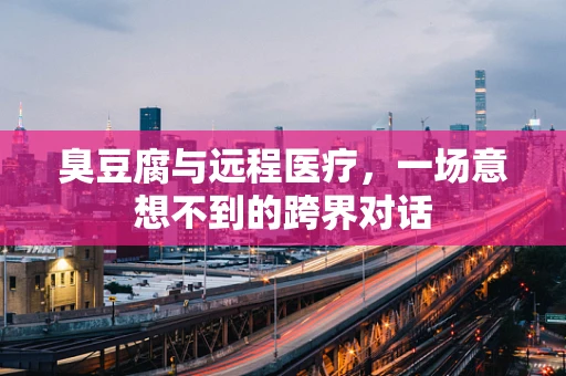 臭豆腐与远程医疗，一场意想不到的跨界对话