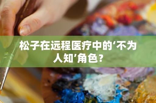 松子在远程医疗中的‘不为人知’角色？