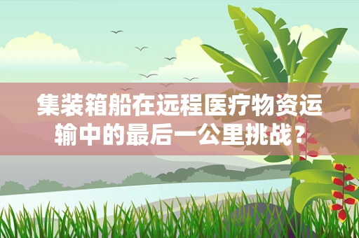 集装箱船在远程医疗物资运输中的最后一公里挑战？