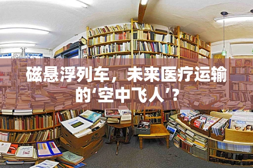 磁悬浮列车，未来医疗运输的‘空中飞人’？