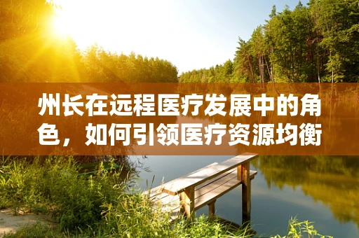 州长在远程医疗发展中的角色，如何引领医疗资源均衡的未来？
