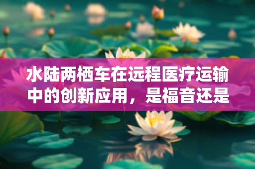 水陆两栖车在远程医疗运输中的创新应用，是福音还是挑战？