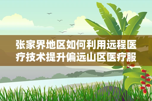 张家界地区如何利用远程医疗技术提升偏远山区医疗服务？