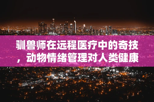 驯兽师在远程医疗中的奇技，动物情绪管理对人类健康的影响？