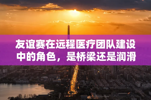 友谊赛在远程医疗团队建设中的角色，是桥梁还是润滑剂？