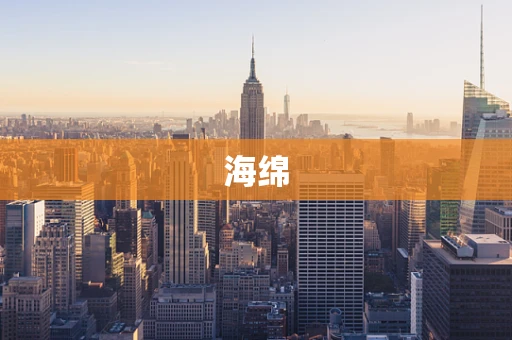 海绵