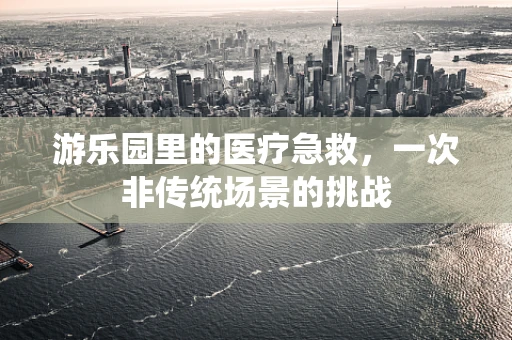 游乐园里的医疗急救，一次非传统场景的挑战