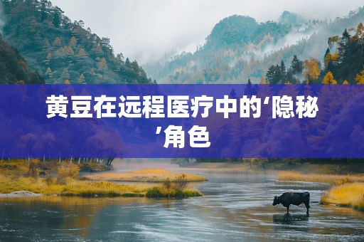 黄豆在远程医疗中的‘隐秘’角色