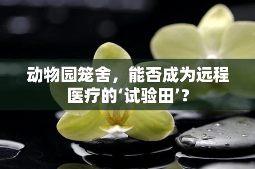 动物园笼舍，能否成为远程医疗的‘试验田’？