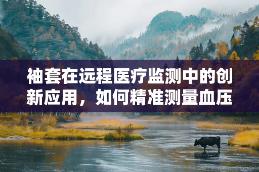 袖套在远程医疗监测中的创新应用，如何精准测量血压而不被距离所限？