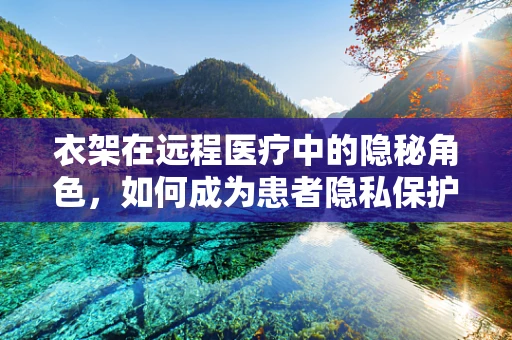 衣架在远程医疗中的隐秘角色，如何成为患者隐私保护的守护者？
