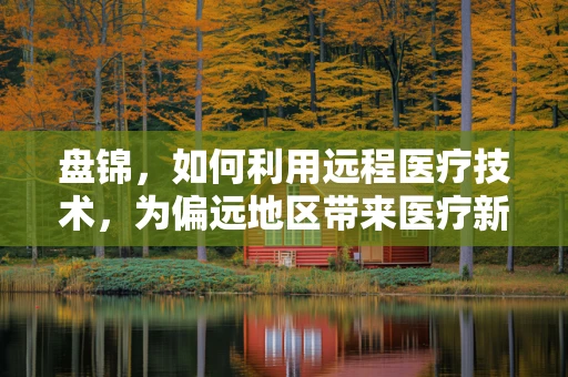 盘锦，如何利用远程医疗技术，为偏远地区带来医疗新曙光？