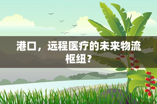 港口，远程医疗的未来物流枢纽？