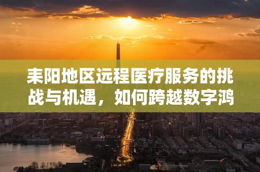 耒阳地区远程医疗服务的挑战与机遇，如何跨越数字鸿沟？