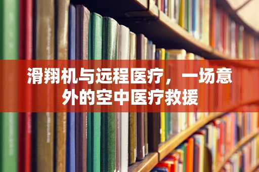 滑翔机与远程医疗，一场意外的空中医疗救援