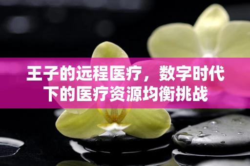 王子的远程医疗，数字时代下的医疗资源均衡挑战