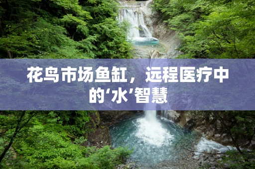 花鸟市场鱼缸，远程医疗中的‘水’智慧