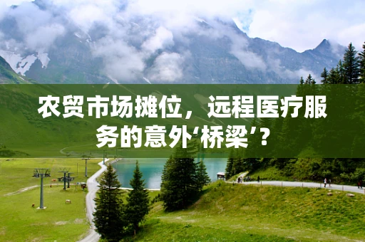 农贸市场摊位，远程医疗服务的意外‘桥梁’？