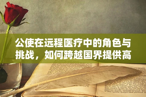 公使在远程医疗中的角色与挑战，如何跨越国界提供高效服务？