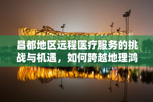 昌都地区远程医疗服务的挑战与机遇，如何跨越地理鸿沟？