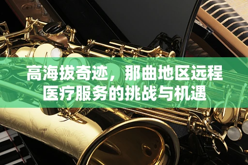 高海拔奇迹，那曲地区远程医疗服务的挑战与机遇
