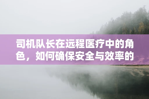 司机队长在远程医疗中的角色，如何确保安全与效率的双重保障？