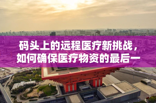 码头上的远程医疗新挑战，如何确保医疗物资的最后一公里安全？