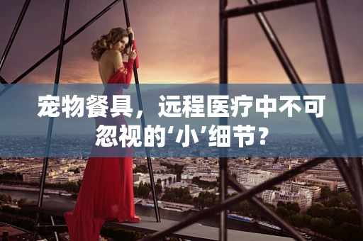 宠物餐具，远程医疗中不可忽视的‘小’细节？