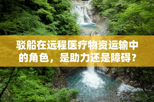 驳船在远程医疗物资运输中的角色，是助力还是障碍？