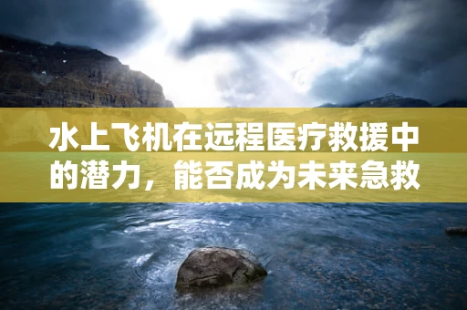 水上飞机在远程医疗救援中的潜力，能否成为未来急救的新航路？