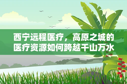 西宁远程医疗，高原之城的医疗资源如何跨越千山万水？
