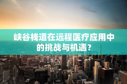峡谷栈道在远程医疗应用中的挑战与机遇？
