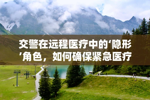 交警在远程医疗中的‘隐形’角色，如何确保紧急医疗通道的畅通无阻？