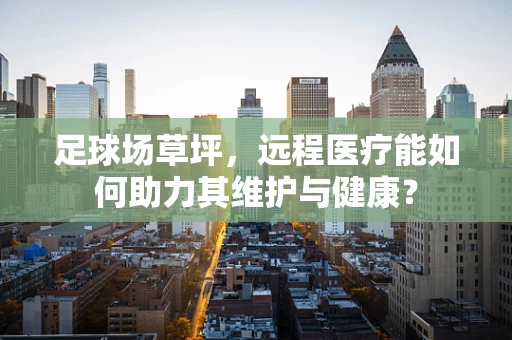 足球场草坪，远程医疗能如何助力其维护与健康？