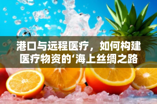 港口与远程医疗，如何构建医疗物资的‘海上丝绸之路’？