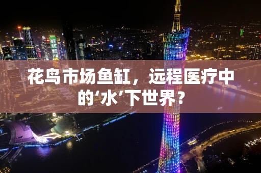 花鸟市场鱼缸，远程医疗中的‘水’下世界？