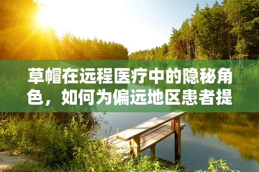 草帽在远程医疗中的隐秘角色，如何为偏远地区患者提供头顶上的守护？