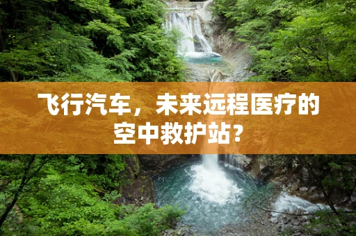 飞行汽车，未来远程医疗的空中救护站？