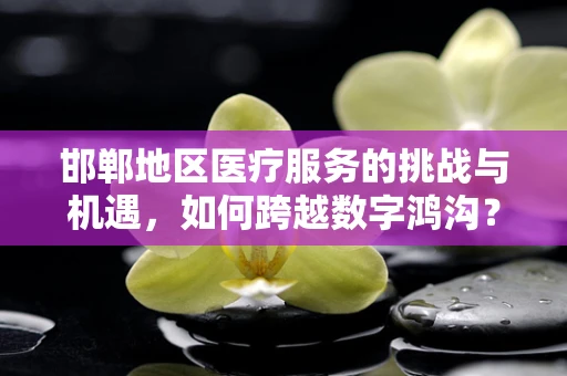 邯郸地区医疗服务的挑战与机遇，如何跨越数字鸿沟？