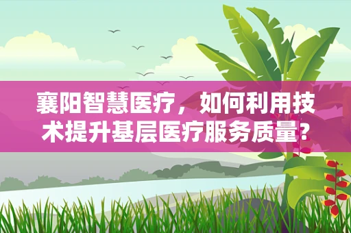 襄阳智慧医疗，如何利用技术提升基层医疗服务质量？