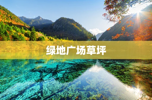 绿地广场草坪