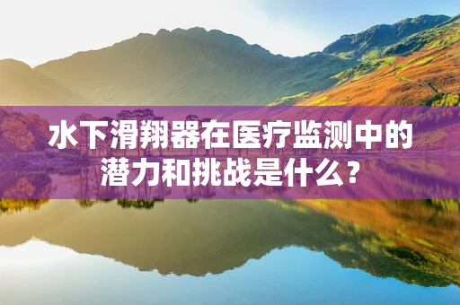 水下滑翔器在医疗监测中的潜力和挑战是什么？